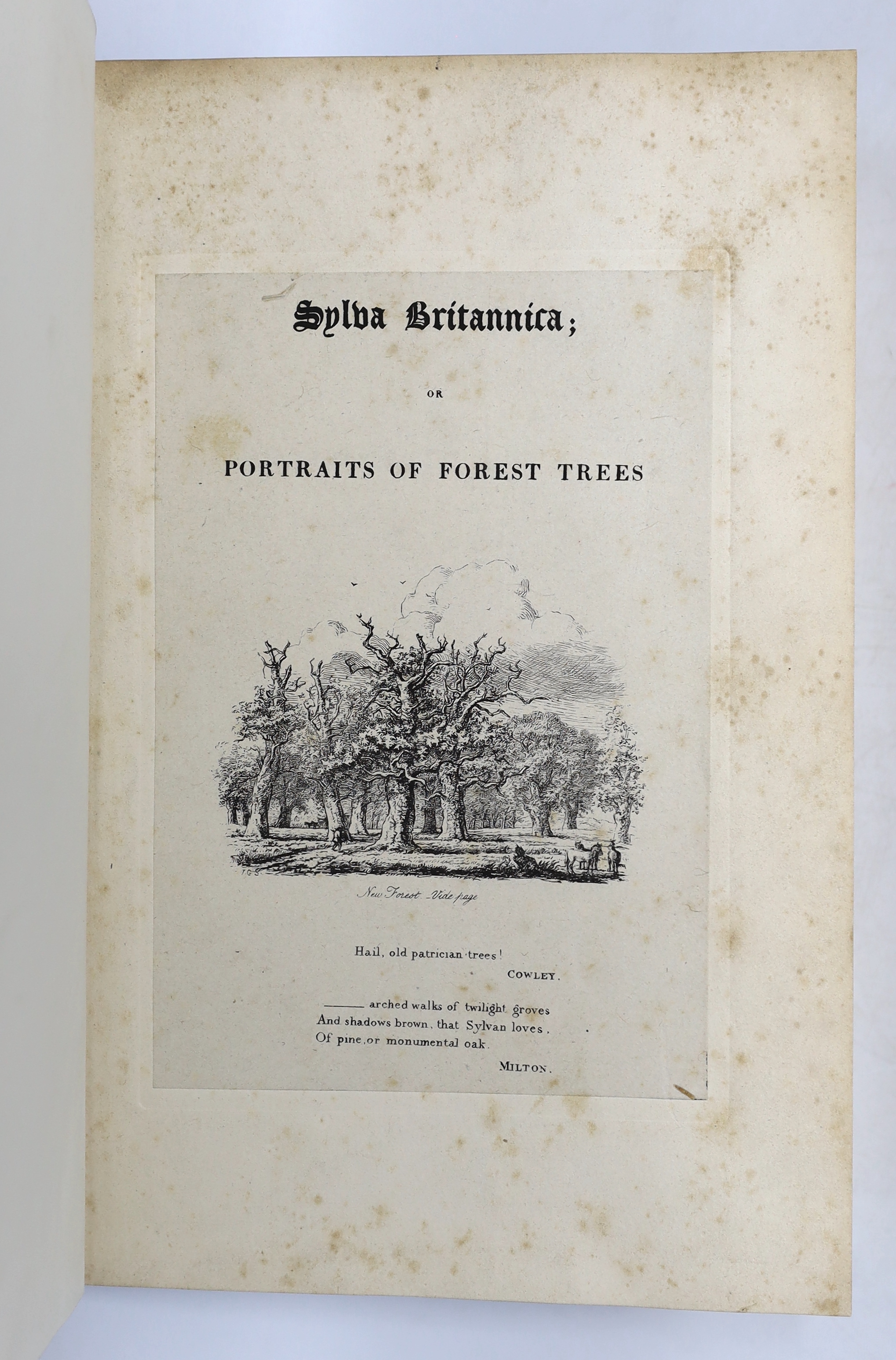 Strutt, Jacob George - Sylva Britannica; or Portraits of Forest Trees, distinguished for their antiquity, magnitude, or beauty ... engraved pictorial and printed titles and 49 etched plates